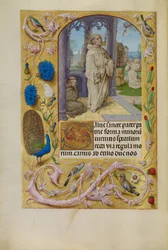 De Stigmatisatie van Sint Franciscus